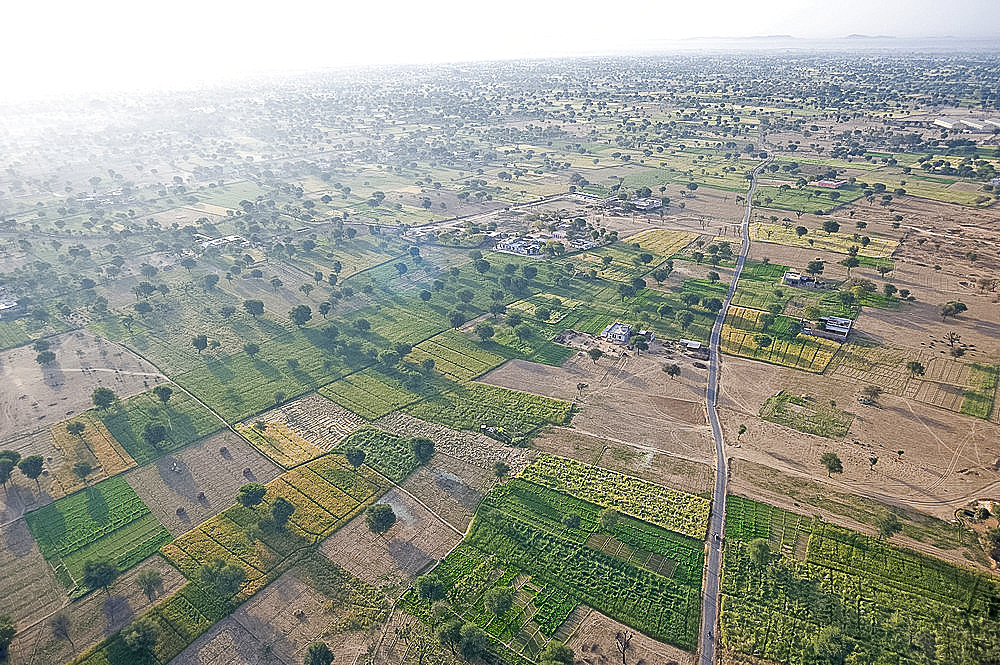 View of fields and trees from hot air balloon, early morning, Chomu district, Rajasthan, India, Asia