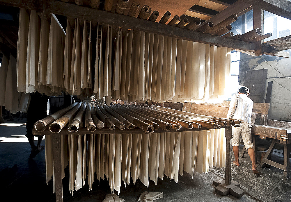 Sheets of freshly cooked rice sheets hanging on bamboo poles to be shredded into rice noodles and dried, Hsipaw, Shan state, Myanmar (Burma), Asia