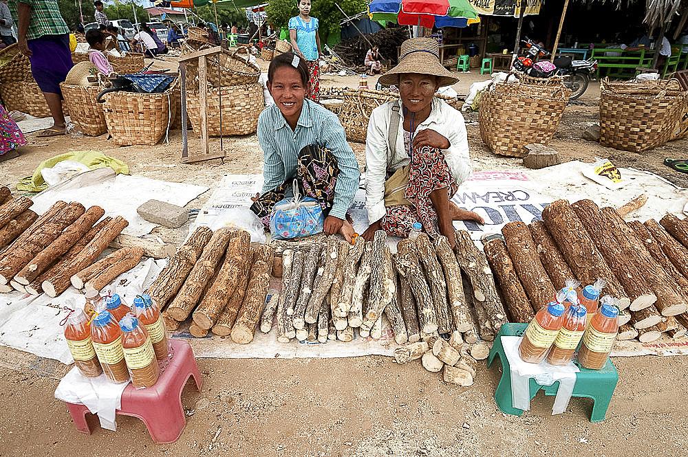 Women selling thanaka sticks, to be ground into paste to wear on the face as a decorative and protective mask, Sagaing Division, Myanmar (Burma), Asia