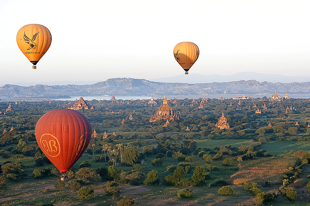 Hot air balloons flying over the terracotta temples of Bagan with the Irrawaddy river in the distance, Bagan (Pagan), Mandalay Division, Myanmar (Burma), Asia