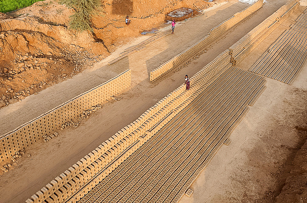 Hand made bricks laid out on the ground to dry before baking, northeast of Jaipur, Rajasthan, India, Asia