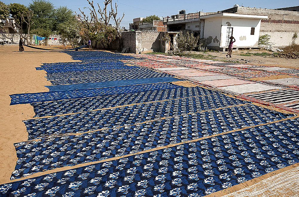 Newly Ajhrak (indigo) block printed lengths of fabric laid out in the sun to dry, Bagru, Jaipur, Rajasthan, India, Asia