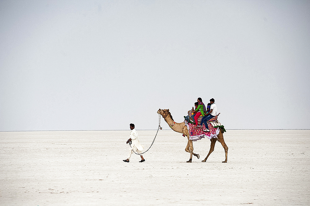 Indian family enjoying a camel ride in the white desert, a seasonal salt marsh in the Great Rann of Kutch, Kutch, Gujarat, India, Asia