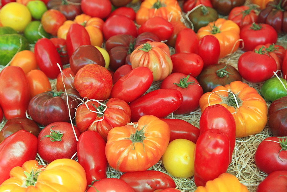 Tomatoes in the market, Cours Saleya, Old Town, Nice, Alpes Maritimes, Provence, Cote d'Azur, French Riviera, France, Europe