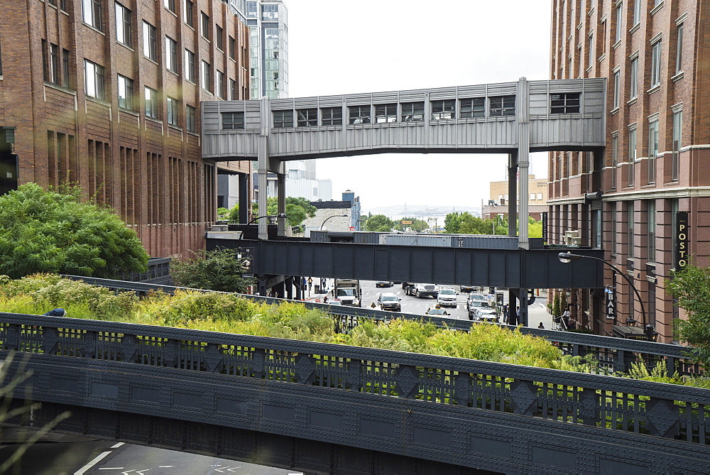 High Line public park, Meatpacking District, New York City, New York, United States of America, North America