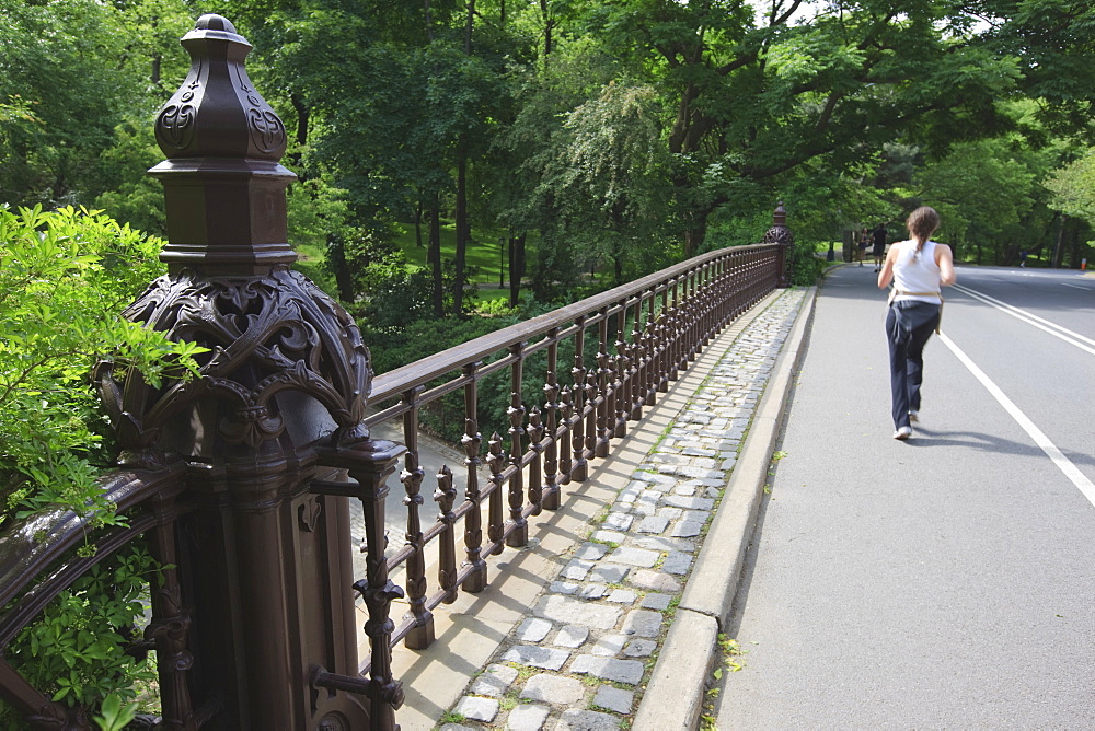 Jogger in Central Park, Manhattan, New York City, New York, United States of America, North America