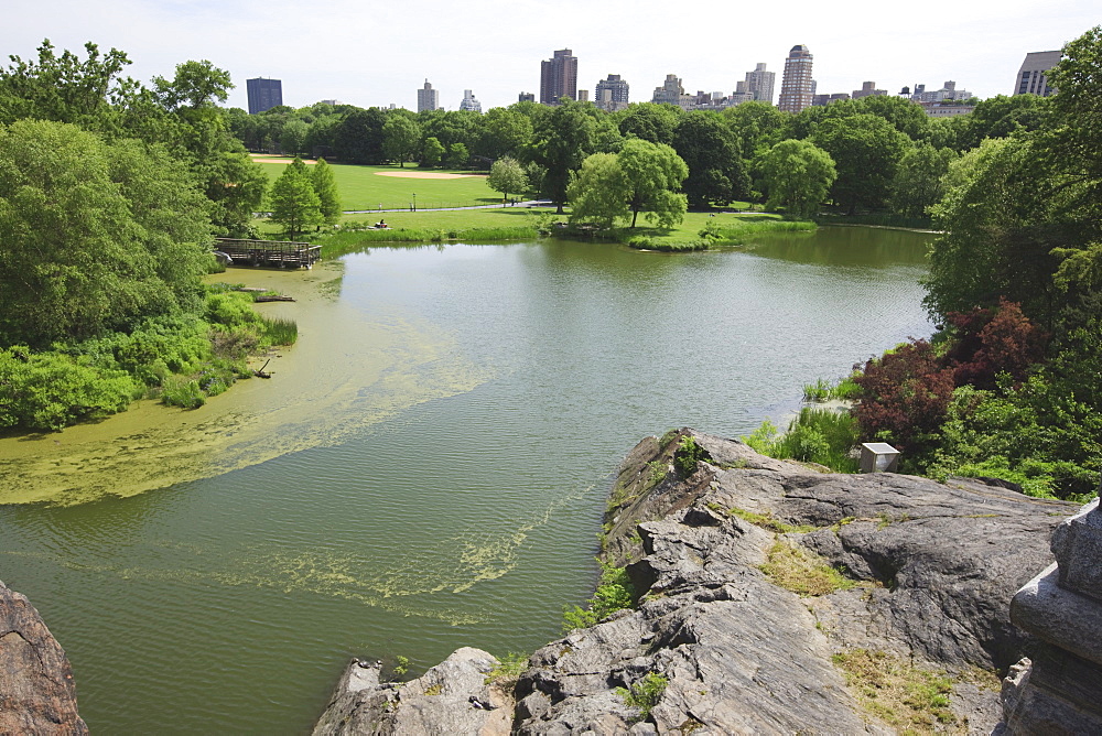 Turtle Pond, Central Park, Manhattan, New York City, New York, United States of America, North America