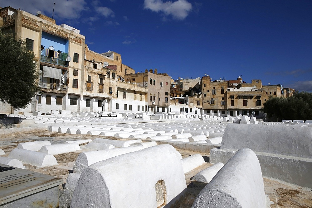 Jewish Cemetery of Fes, Morocco, North Africa, Africa