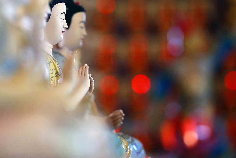 Siddhartha Gautama, the Shakyamuni Buddha, Huynh Dao Buddhist Temple, Chau Doc, Vietnam, Indochina, Southeast Asia, Asia