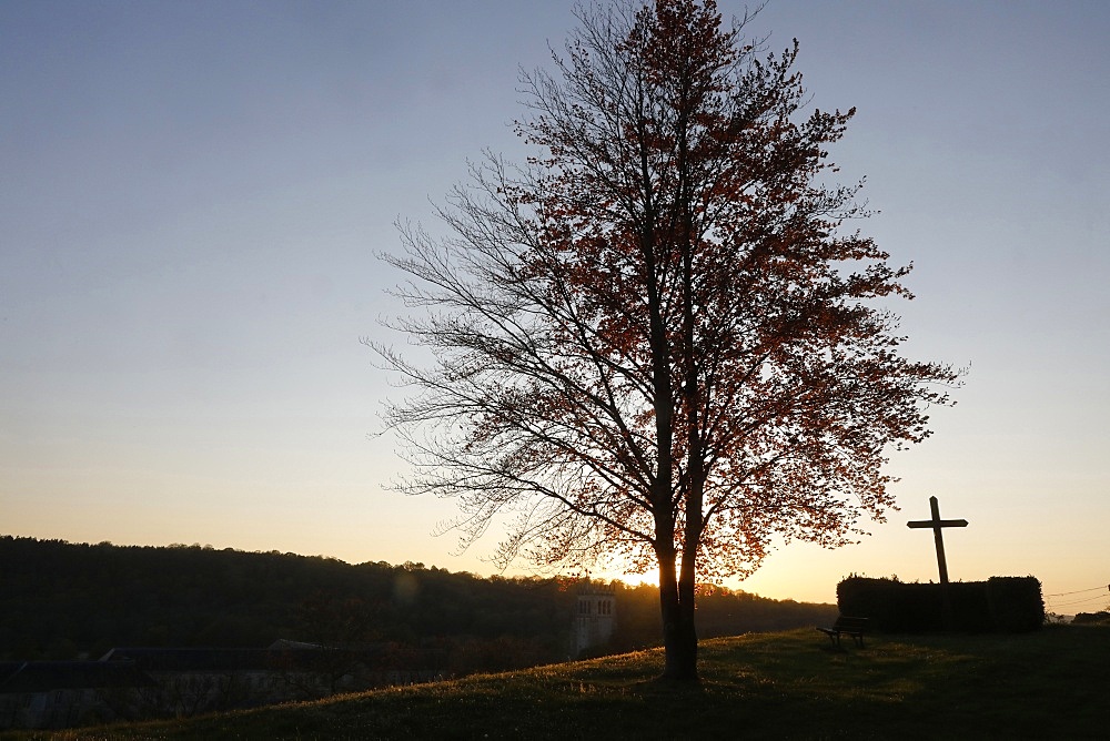 Tree and cross at dusk at Le Bec Hellouin, Eure, Normandy, France, Europe