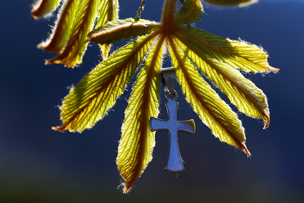 Pendant with cross on a young green chestnut leaf at springtime, France, Europe