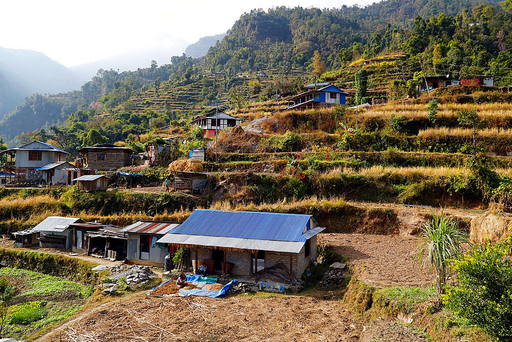 Mountainous village and traditional agriculture, Lapilang, Dolakha, Nepal, Asia