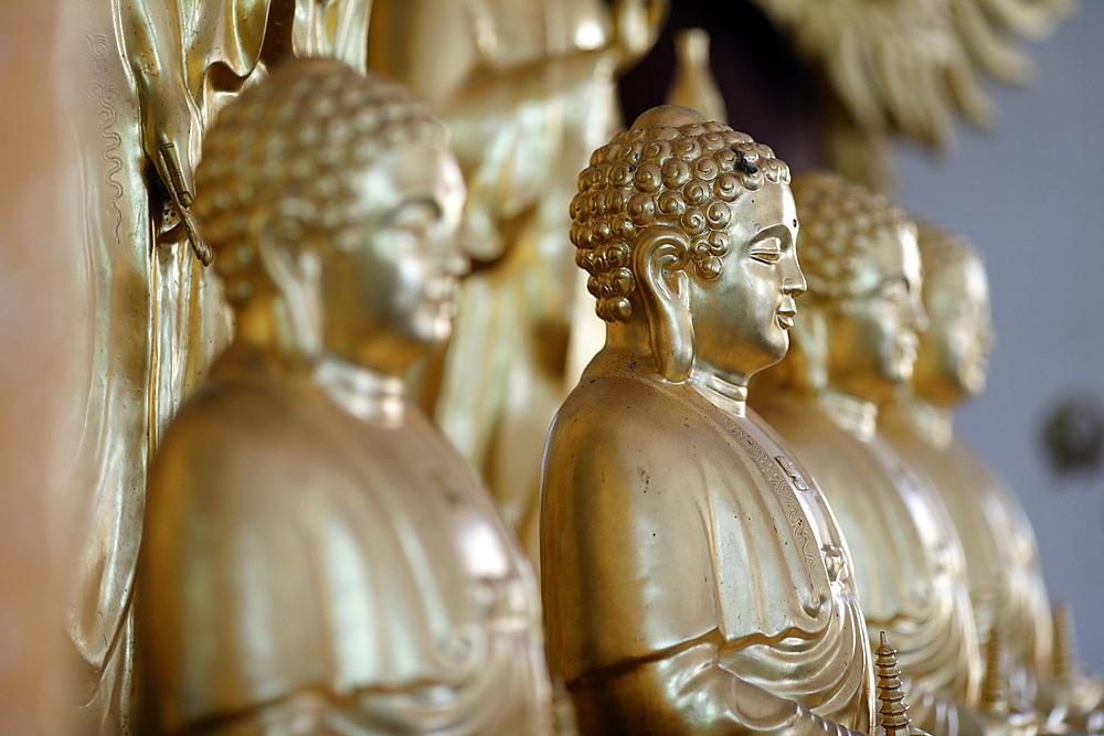 Long Duc Buddhist temple, Golden Buddha statues on altar, Tan Chau, Vietnam, Indochina, Southeast Asia, Asia