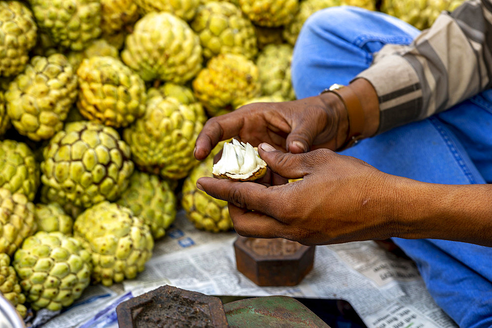 Custard apples sold in Mumbai, India, Asia