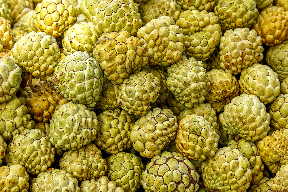 Custard apples sold in Mumbai, India, Asia