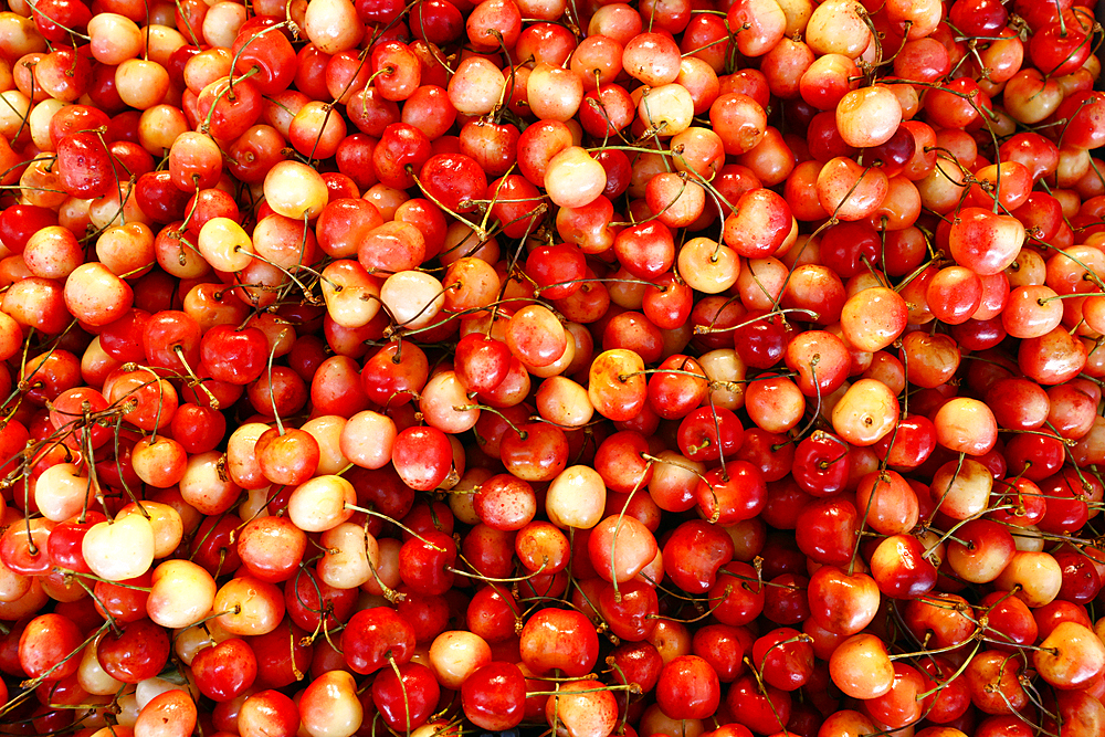 Fresh cherries for sale, Historical Bolhao Market, Porto, Portugal, Europe