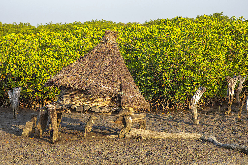 Ancient granary with a roof of dry grass on an island among mangrove trees, Joal-Fadiouth, Senegal, West Africa, Africa