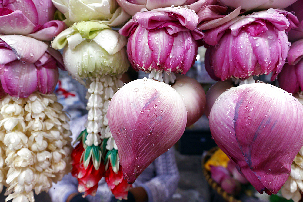 Flower garlands as temple offerings for Hindu ceremony, Indian flower shop at Sri Maha Mariamman Temple, Bangkok, Thailand, Southeast Asia, Asia