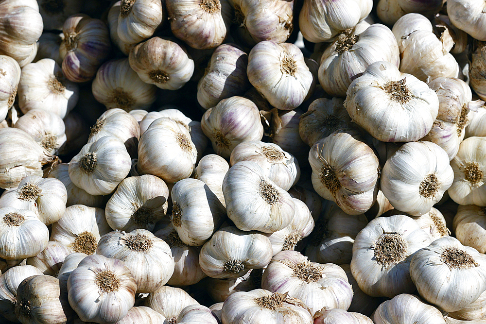 Fresh garlic for sale at the market, Saint Gervais, Haute-Savoie, France, Europe