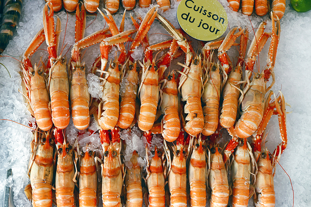 Fresh langoustine for sale at traditional fish market, Trouville, Normandy, France, Europe