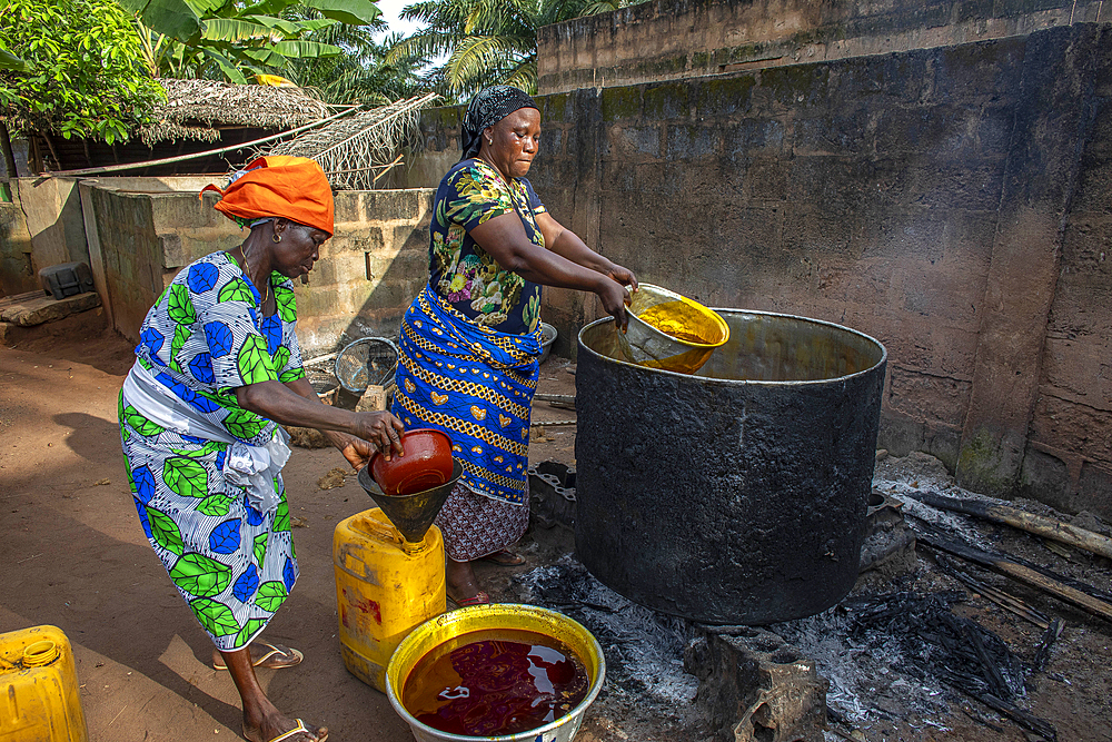 Villagers making palm oil in Dokoue, Benin, West Africa, Africa