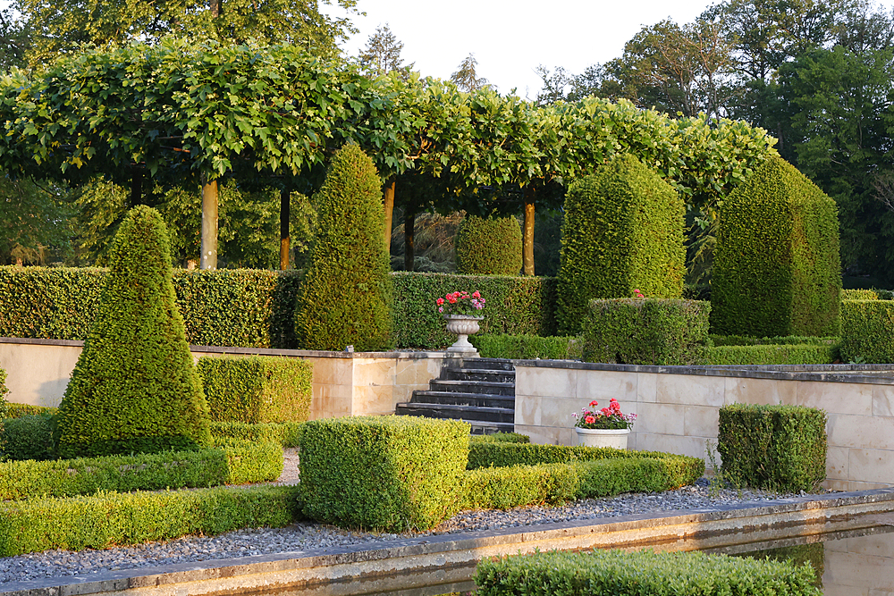 Garden, Saint-Sauveur-en-Puisaye, Yonne, Bourgogne-Franche-Comte, France, Europe