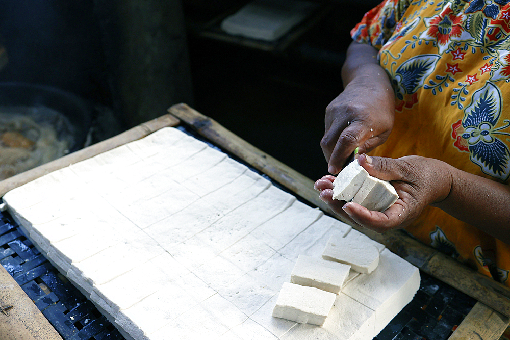 Worker making tofu, a food prepared by coagulating soy milk, in a traditional family factory, Yogyakarta, Java, Indonesia, Southeast Asia, Asia, Asia