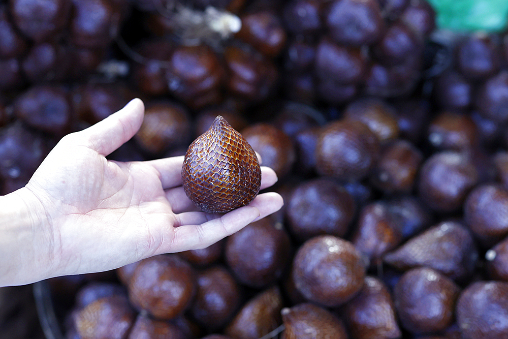 Salak fruit or snake fruit for sale at local food market. Yogyakarta. Indonesia.