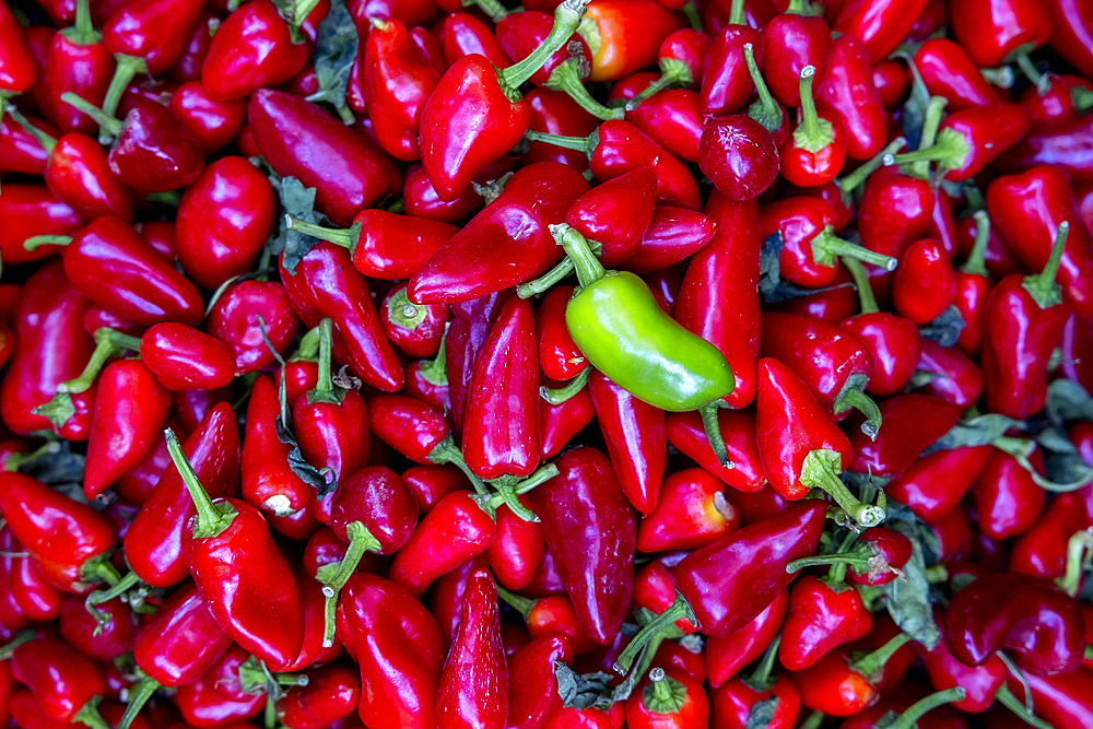 Red peppers and one green pepper a shop in Moulay Idriss Zerhon, Morocco