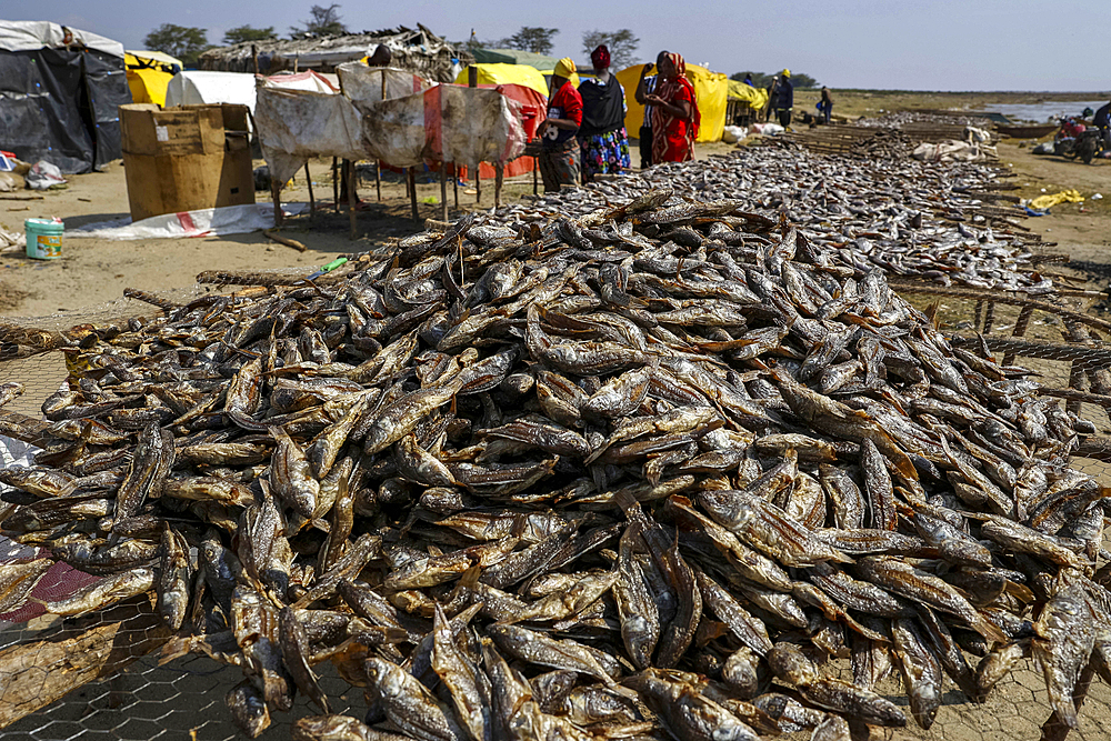 Fishing camp on a bank of Lake Eyasi, Tanzania