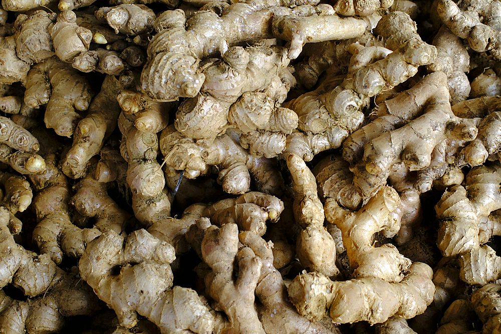 Dong Ba market. Food stand. Fresh ginger for sale. Hue. Vietnam.