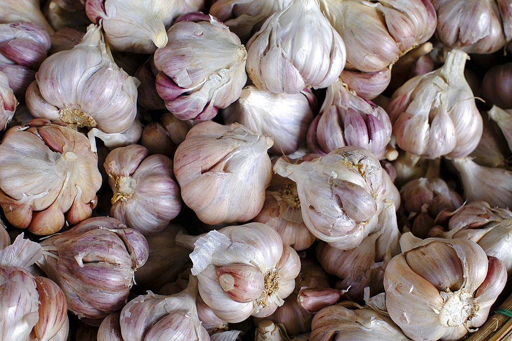 Dong Ba market. Food stand. Fresh garlic clove for sale. Hue. Vietnam.