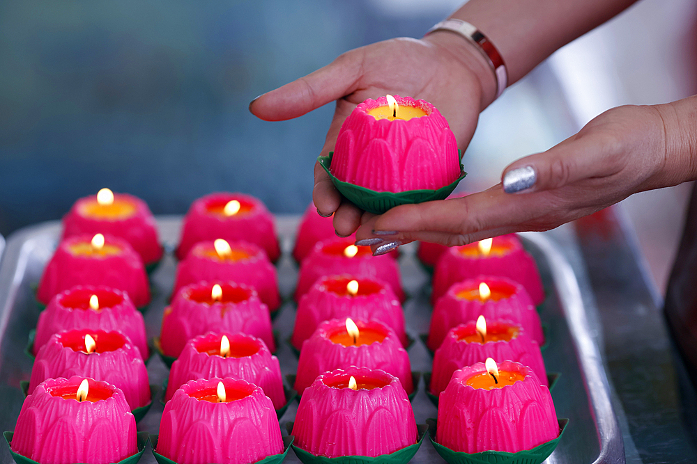 Pink lotus flowers candles at the Thean Hou Temple. Lotus flower is the symbol of human growth and development. Kuala Lumpur. Malaysia.