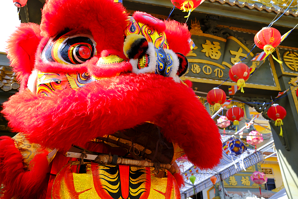 Phuoc Long Buddhist pagoda. Traditional chinese lion dancing for celebration new year. Tan Chau. Vietnam.