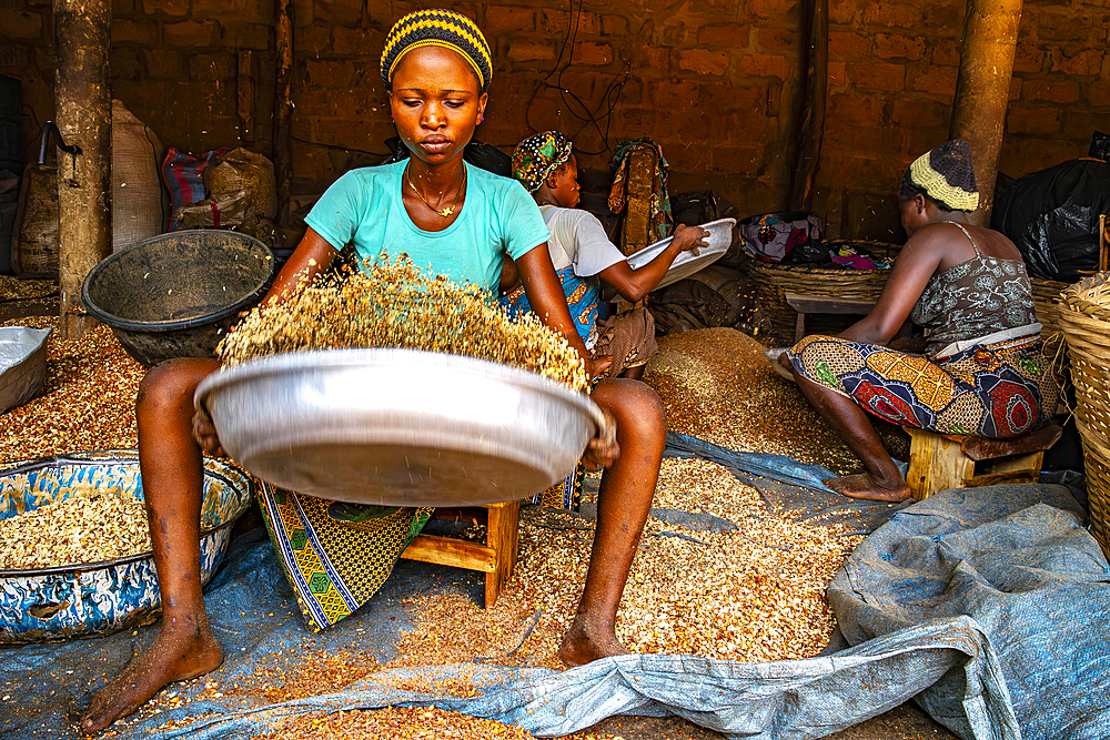 Women working in a workshop where peanuts are transformed into klui klui sticks in central Benin
