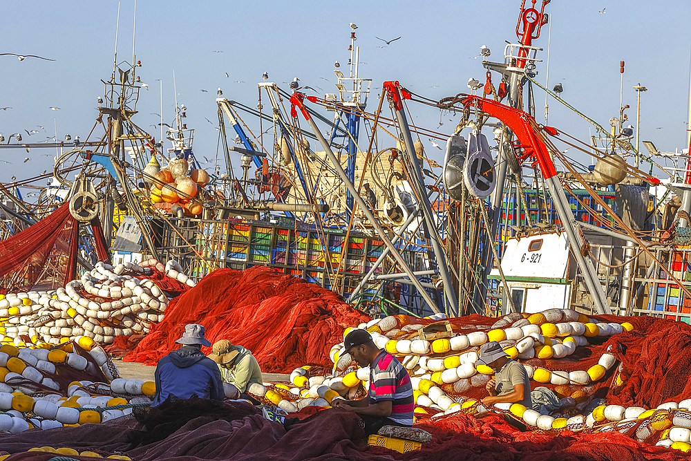 Fishing net mending in harbor, Essaouira, Morocco