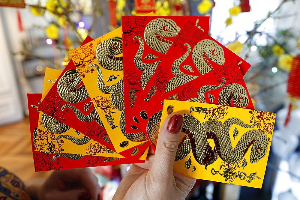 Asian woman with red envelopes ( hongbao ) for Chinese and Vietnamese New Year celebration. Red color is a symbol of good luck. Year of the snake.