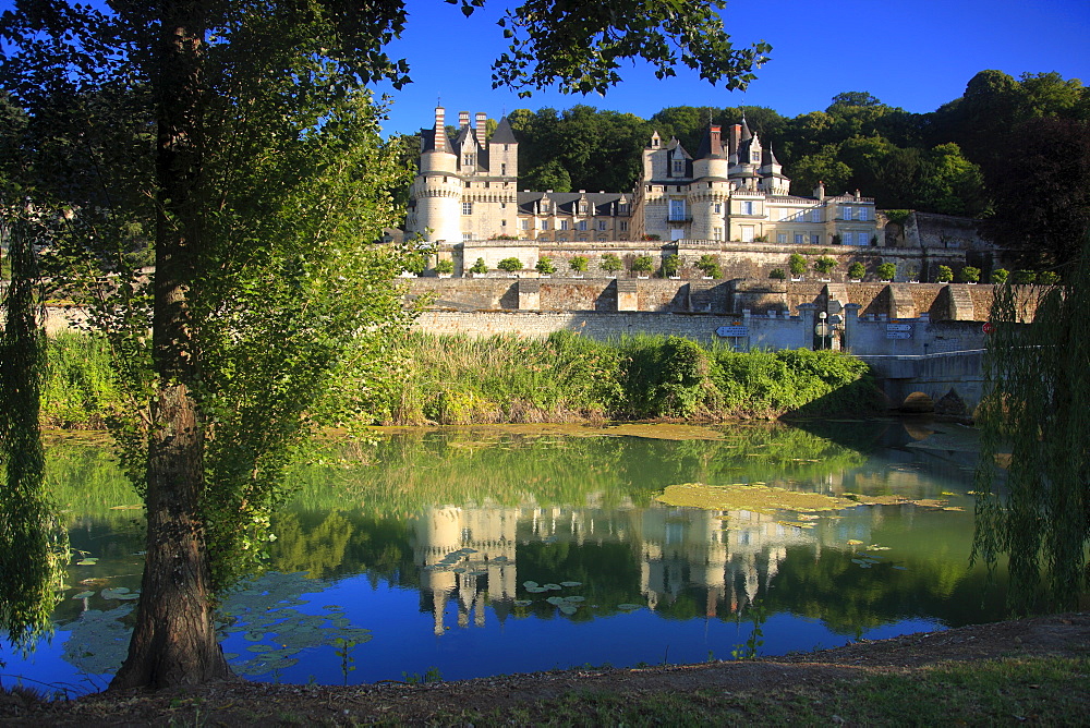 Chateau d'Usse on the Indre River, Rigne-Usse, Indre et Loire, Loire Valley, France, Europe