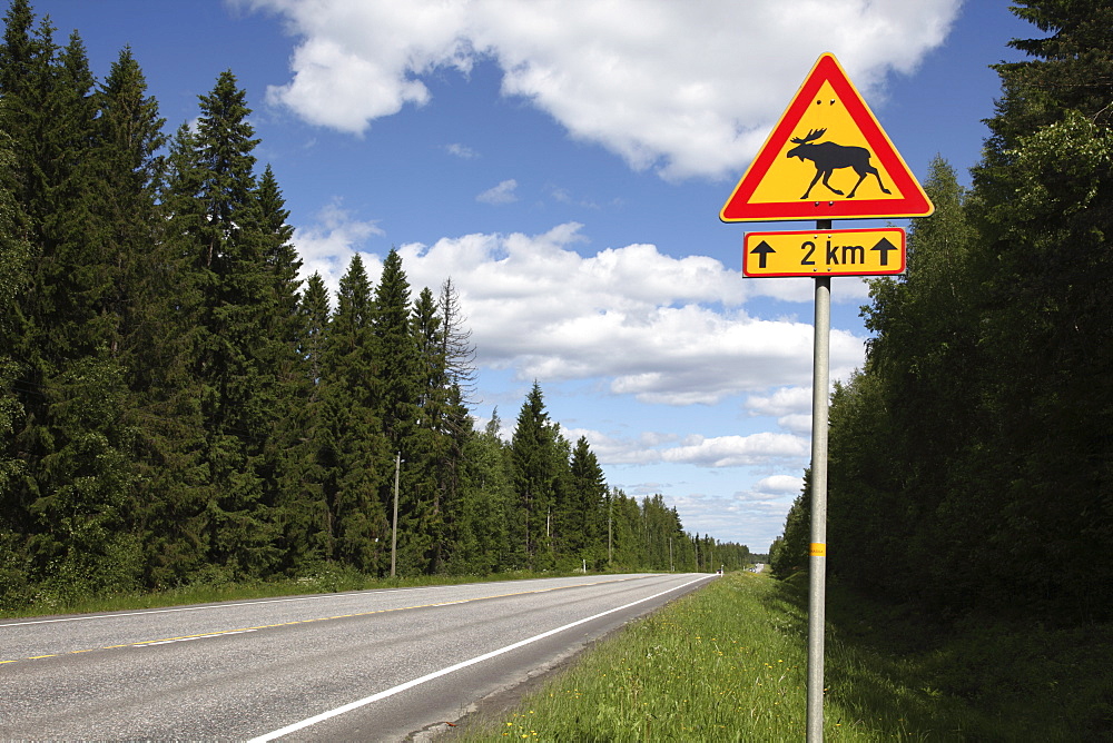 Road sign for elk crossing, Highway Number 14, Punkaharju Ridge, Savonlinna, Savonia, Finland, Scandinavia, Europe