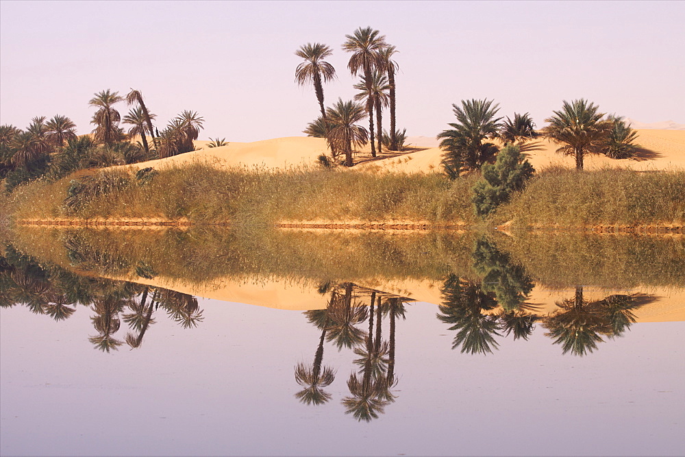 In the erg of Ubari, the Umm-el Ma (Mother of the Waters) Lake, Libya, North Africa, Africa