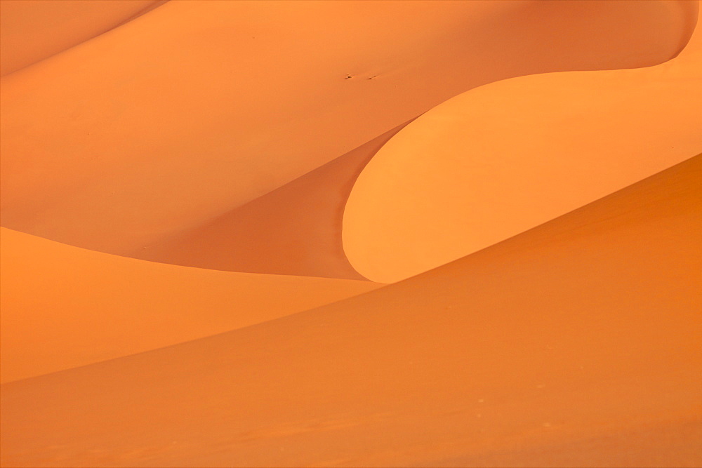 The dunes of the erg of Murzuk in the Fezzan desert, Libya, North Africa, Africa