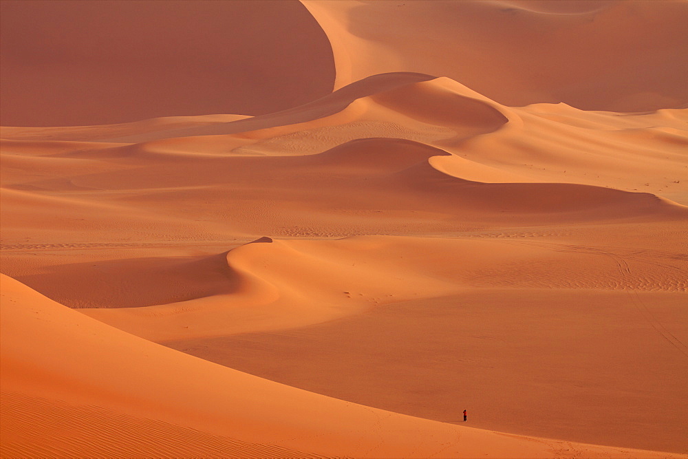 In the dunes of the erg of Murzuk in the Fezzan desert, Libya, North Africa, Africa