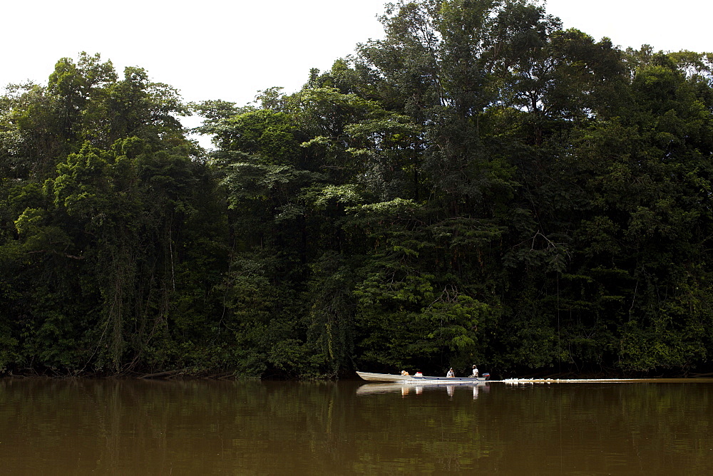 A pirogue on the Approuague River, French Guiana, South America