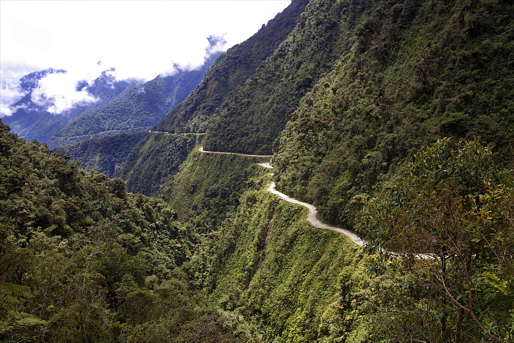 View of the El Camino della Muerte, Yungas Valley, Bolivia, South America