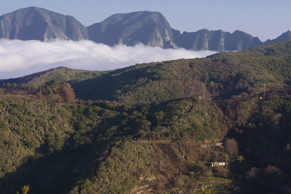 View over a valley, Garajonay National Park, UNESCO World Heritage Site, La Gomera Canary Islands, Spain, Europe