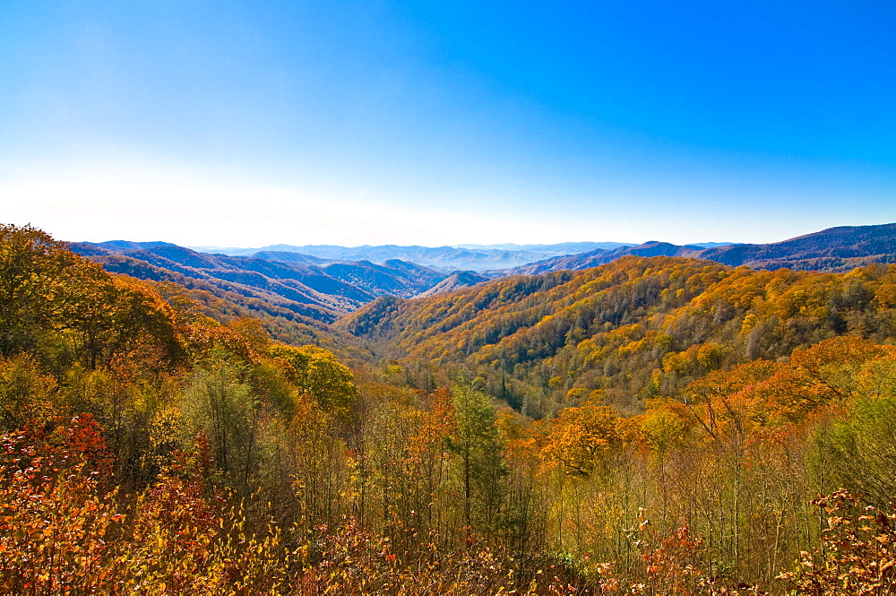 View over valley with colourful foliage in the Indian summer, Great Smoky Mountains National Park, UNESCO World Heritage Site, Tennessee, United States of America, North America