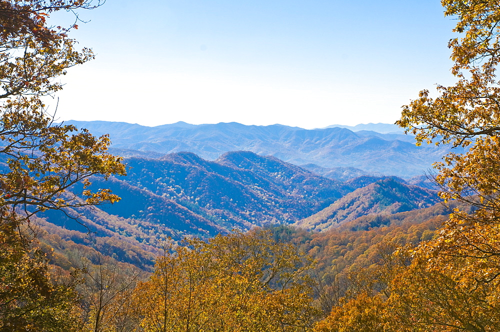 View over valley with colourful foliage in the Indian summer, Great Smoky Mountains National Park, UNESCO World Heritage Site, Tennessee, United States of America, North America