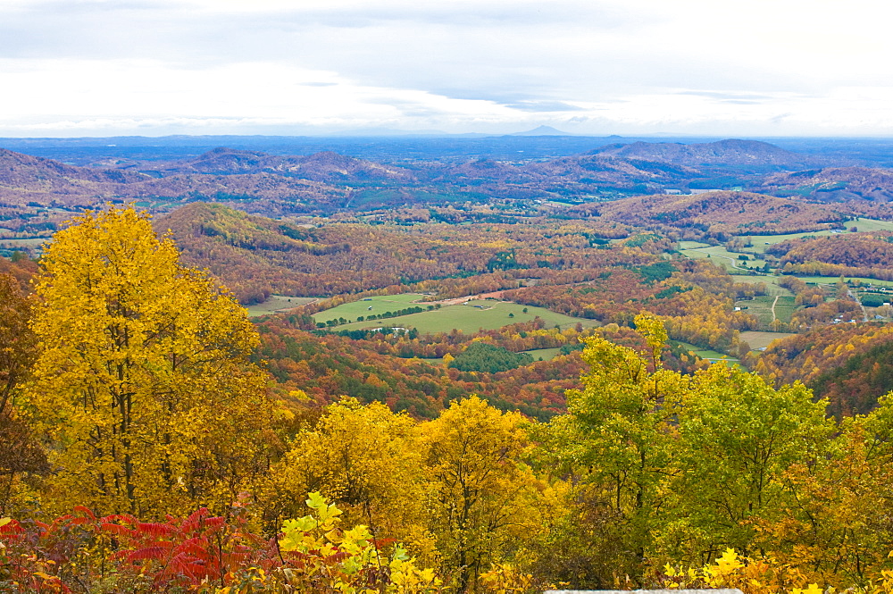 Beautiful foliage in the Indian summer, Blue Ridge Mountain Parkway, North Carolina, United States of America, North America