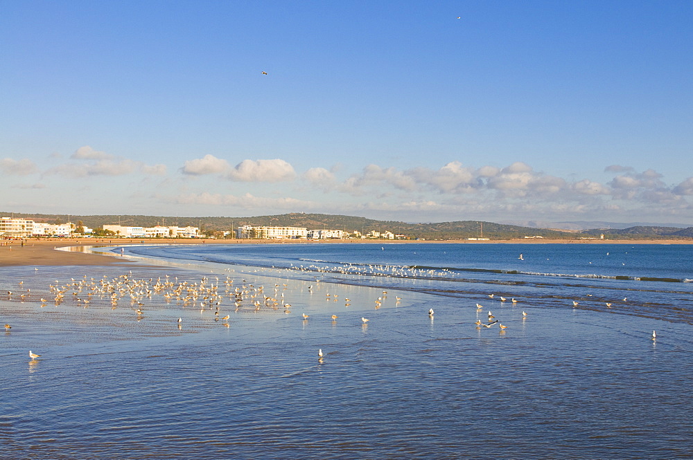 The beach of the coastal city of Essaouira, Morocco, North Africa, Africa