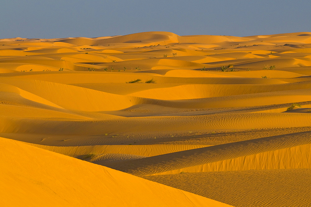 Sand dunes at sunset, near Chinguetti, Mauritania, Africa